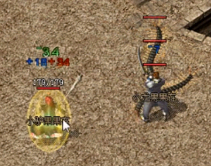 ʦսҪעôbossС뼼