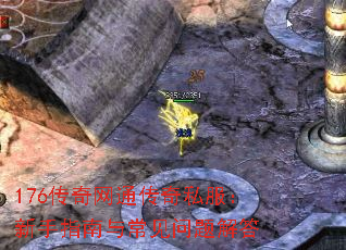 176ͨ˽ָ볣
