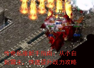 ˽ָϣС׵ս