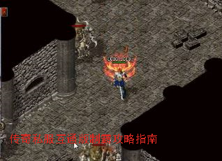 ˽ͨưԹָ