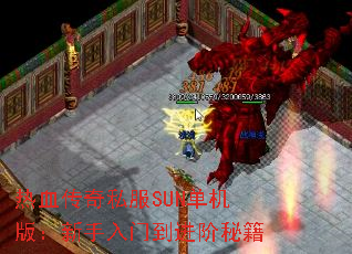 Ѫ˽SUN棺ŵؼ