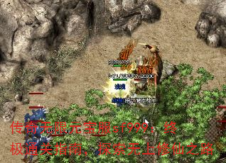 Ԫsf999ռָͨϣ֮̽·