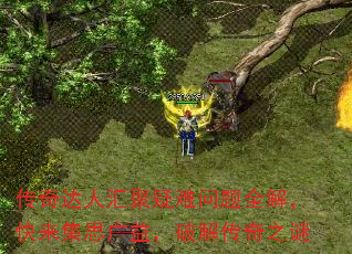 ˻ȫ⣬˼棬ƽ⴫֮