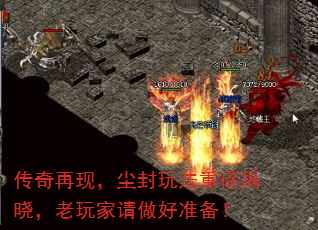 ֣淨ذ׼