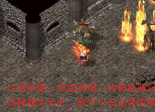 ɳԣѪȼ˽淨ؼ󹫿СϮ