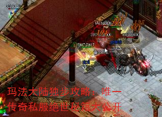 귨½ԣΨһ˽ؼ󹫿
