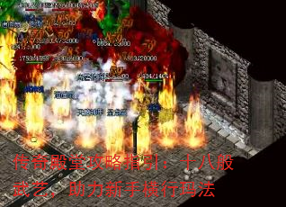 ùָʮ˰գֺ귨