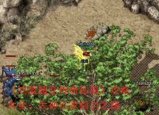ɳ䴫˽Դȫָ֮·