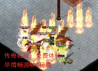 ˽飬鳩NPCؾ