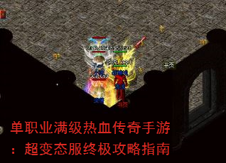 ְҵѪΣ̬ռָ