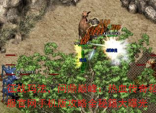 ս귨ʶ۷壺Ѫ˽ֻ湥ȫؼع