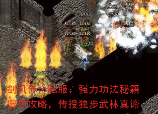 紫˽ǿؼѰԣڶ