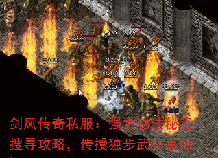 紫˽ǿؼѰԣڶ