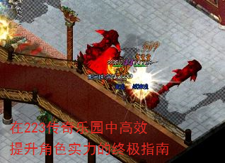 223԰иЧɫʵռָ