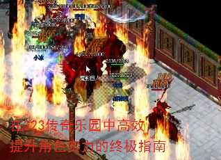 223԰иЧɫʵռָ
