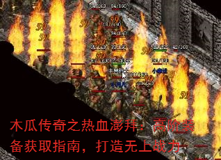 ľϴ֮Ѫݣ߽װȡָϣս