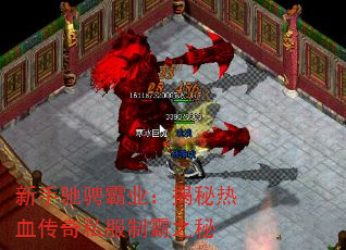 ֳ۳ҰҵѪ˽ư֮