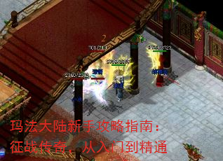 귨½ָֹϣս棬ŵͨ