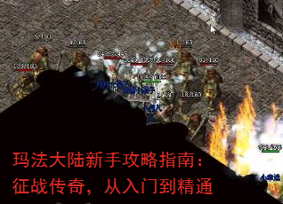 귨½ָֹϣս棬ŵͨ