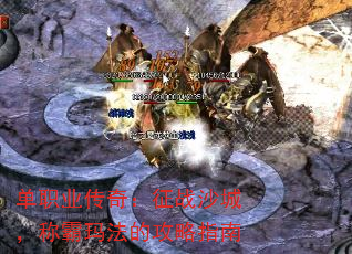 ְҵ棺սɳǣư귨Ĺָ