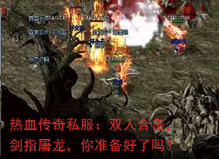 Ѫ˽˫˺ϻָ׼