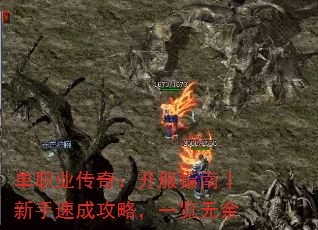 ְҵ棺ָحٳɹԣһ