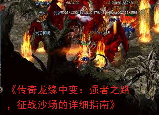 Եб䣺ǿ֮·սɳϸָϡ