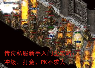 ˽ȫԣ弶PK