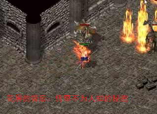 ı󣺴治Ϊ֪