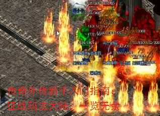 ⴫ָϣս귨½һ
