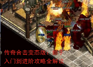 ϻ̬棺ŵ׹ȫ