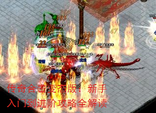 ϻ̬棺ŵ׹ȫ
