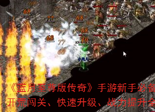 洫桷ֱرԣĴءսȫ