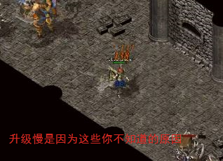 ΪЩ㲻֪ԭ