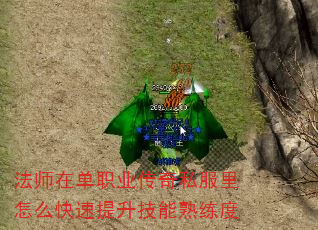 ʦڵְҵ˽ô