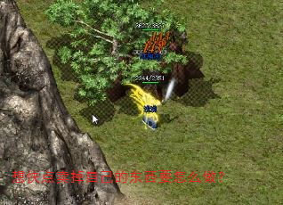 ԼĶҪô