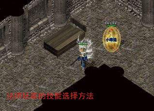 ʦҵļѡ񷽷