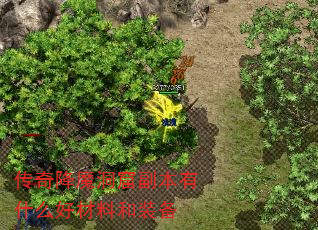 潵ħ߸ʲôòϺװ