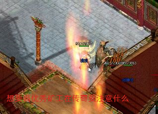 ҪڴҪעʲô