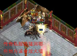 ˽ЩطʺϷŻǽ