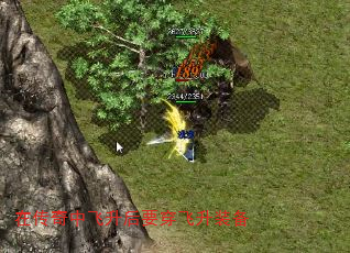 ڴзҪװ
