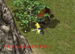 ָ֮жǿ