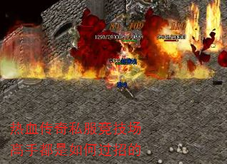 Ѫ˽ֶιе