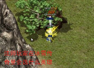 ʦڱѩѡʲôӢ