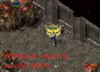 ڴ˽սbossע
