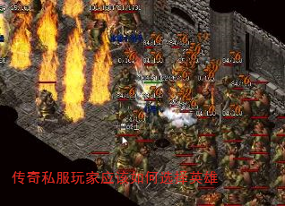 ˽ӦѡӢ