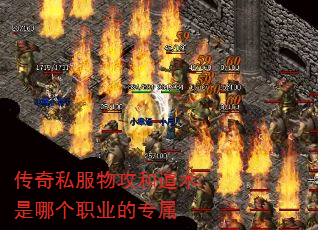 ˽﹥͵ĸְҵר