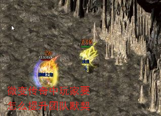 ΢䴫ҪôŶĬ
