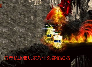 ˽Ϊʲôº