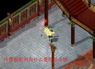 򼶴Ϊʲôʥ